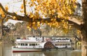 Paddleboat on the Murray River